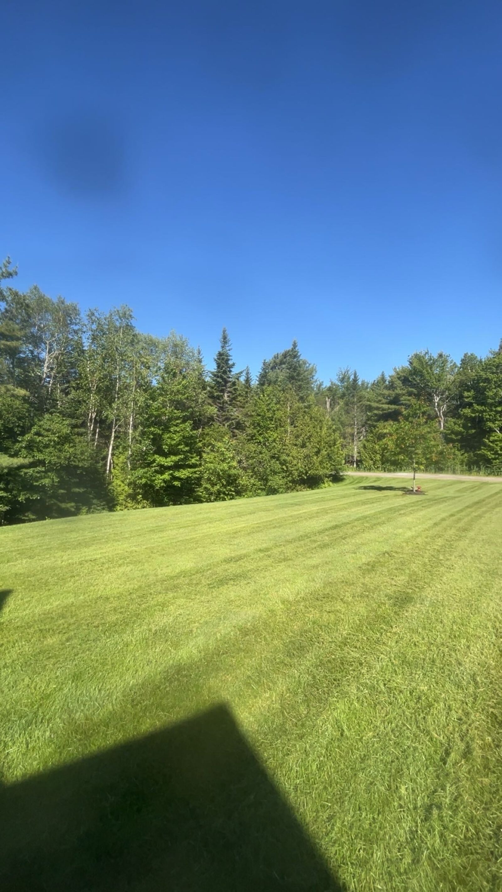 Large open lawn freshly mowed