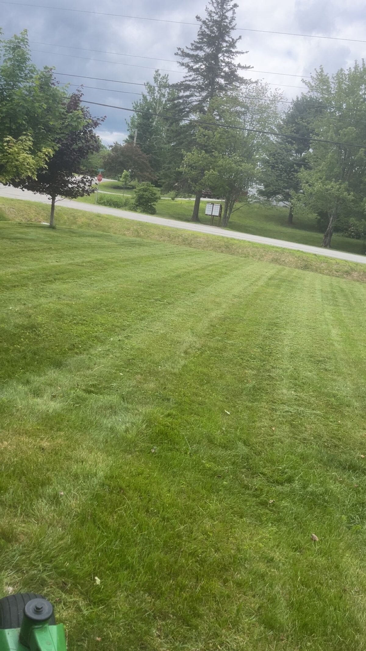 Front lawn cut along a quiet street