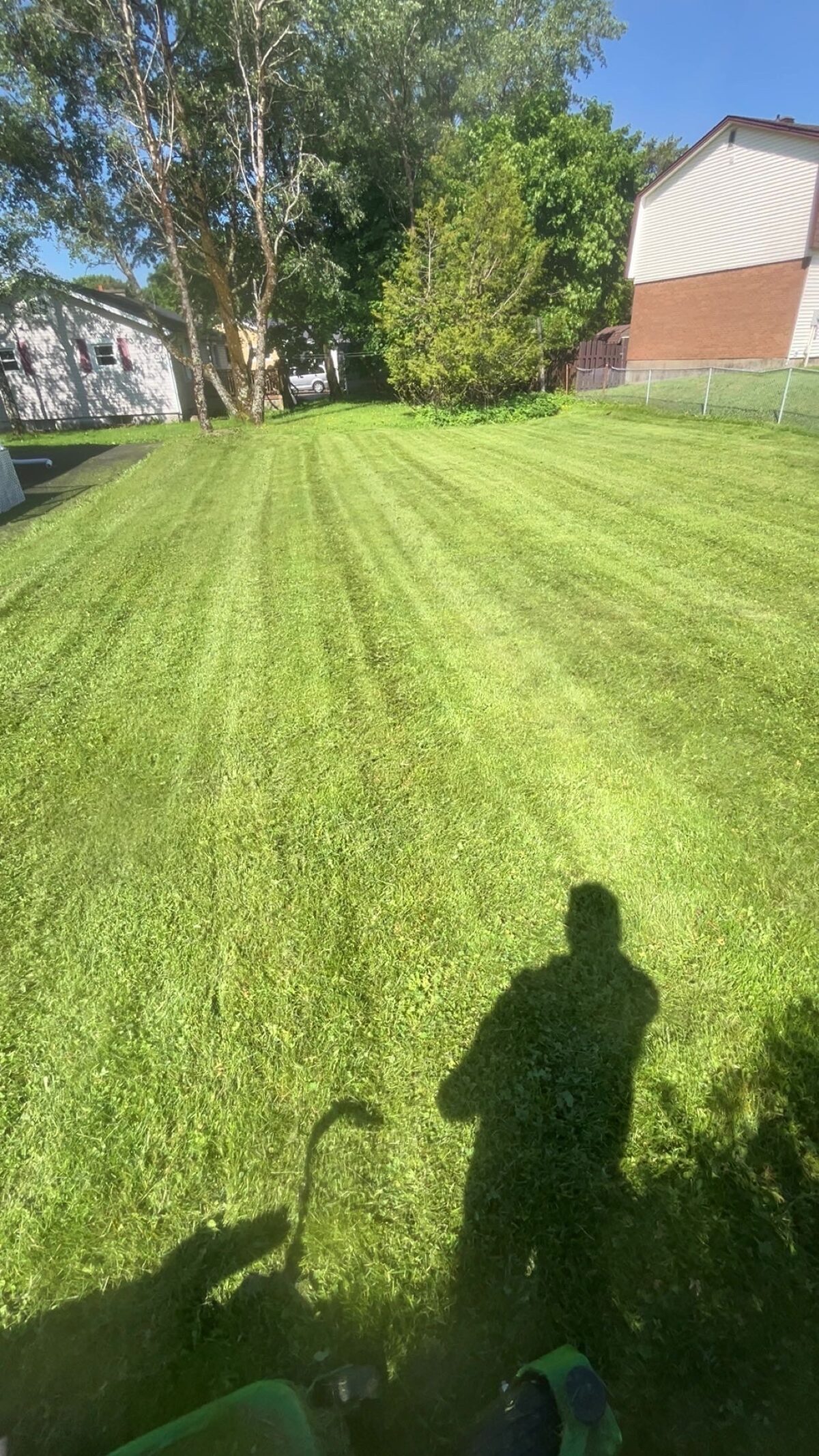 Manicured backyard lawn