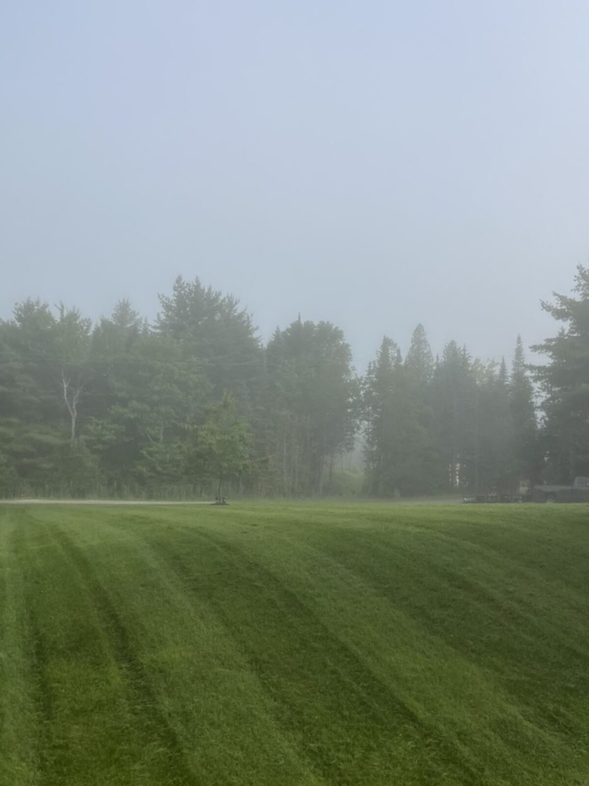 Freshly mowed field with stripes on a misty morning